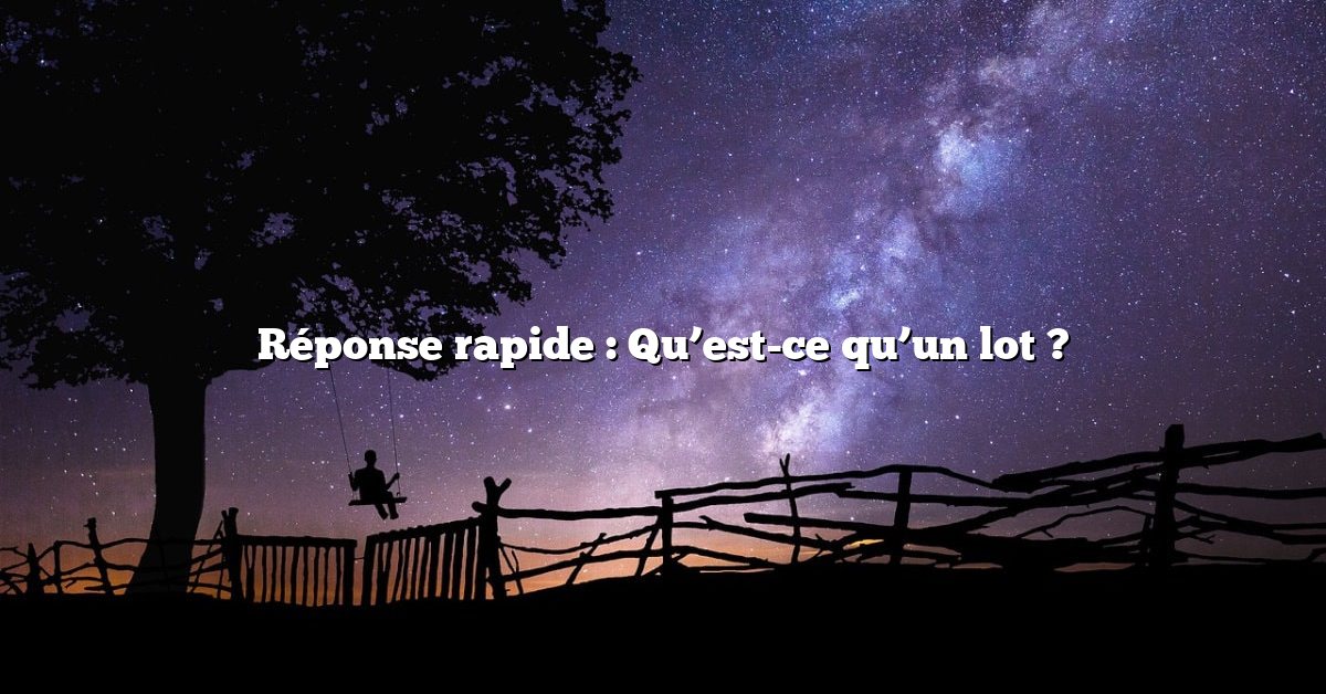 Réponse rapide : Qu’est-ce qu’un lot ?